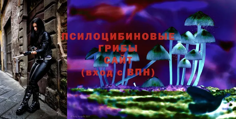 Псилоцибиновые грибы Cubensis  наркошоп  Княгинино 